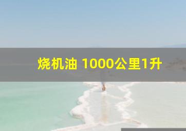 烧机油 1000公里1升